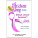 Chicken Soup for the Breast Cancer Survivor's Soul: Stories to Inspire, Support and Heal