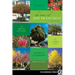 The Trees of San Francisco