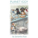 Planet Iggy: Where Italian Greyhounds Live Like Grown-ups