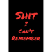 Shit I Can't Remember