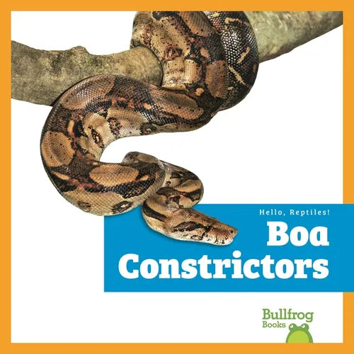 Boa Constrictors
