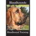 Bloodhounds, Bloodhound Training Book For both Bloodhound Dogs & Bloodhound Puppies By D!G THIS DOG Training: Dog Training Begins From the Car Ride Ho