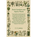 Rock Gardens and Alpine Plants