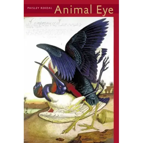 Animal Eye