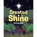Created to Shine