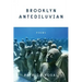 Brooklyn Antediluvian: Poems