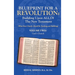 Blueprint for a Revolution: Building Upon All of the New Testament - Volume Two: (What Your Church Should Be Teaching and Building)