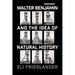 Walter Benjamin and the Idea of Natural History