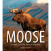 Moose: Crowned Giant of the Northern Wilderness