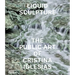 Liquid Sculpture: The Public Art of Cristina Iglesias