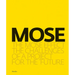 The Mose Effect: The Challenges of a Project for the Future