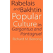Rabelais and Bakhtin: Popular Culture in Gargantua and Pantagruel