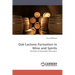 Oak Lactone Formation in Wine and Spirits