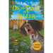 On the Trail of a Killer