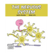 The Nervous System