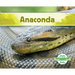 Anaconda