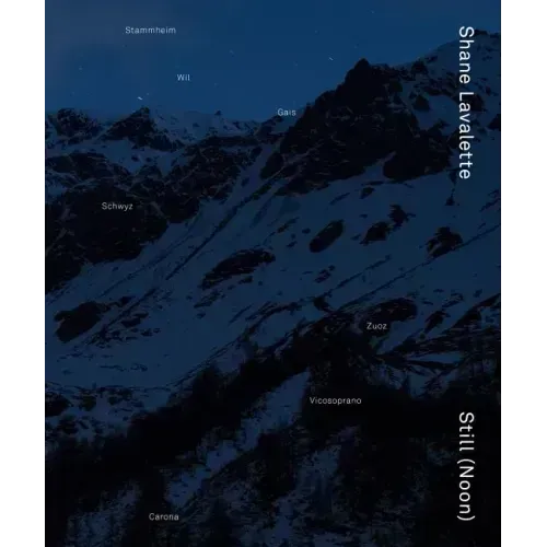 Shane Lavalette: Still (Noon)