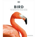 Bird, New Edition