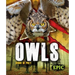 Owls