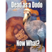 Dead as a Dodo - Now What?: Important Info You'll Need Once I'm Gone