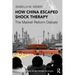 How China Escaped Shock Therapy: The Market Reform Debate