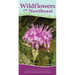 Wildflowers of the Northeast: Your Way to Easily Identify Wildflowers