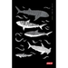 Diving Log Book: Sharks