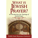 What is Jewish Prayer?: An Introduction the Theology of Jewish Prayer