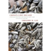 China's Lost Decade: Cultural Politics and Poetics 1978-1990 in Place of History