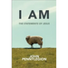 I Am: The Statements of Jesus