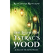 The Lights of Ystrac's Wood