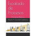 Escalado de Procesos: Principios Básicos