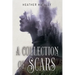 A Collection of Scars