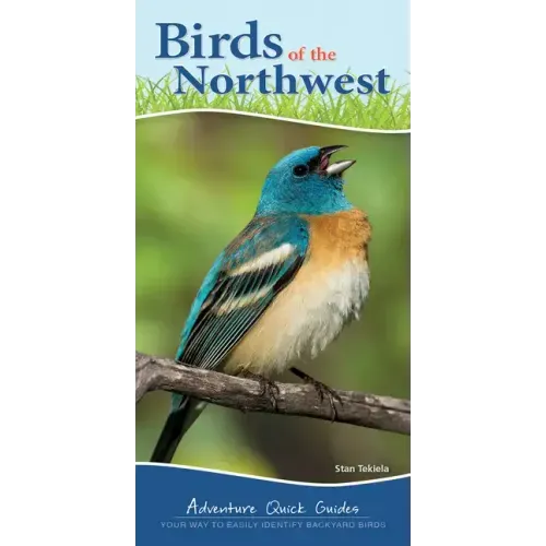 Birds of the Northwest: Your Way to Easily Identify Backyard Birds