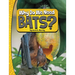 Why Do We Need Bats?