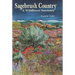 Sagebrush Country: A Wildflower Sanctuary