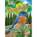 Bluebirds