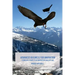 Advanced Business for Innovation: Stimulate Competitor Innovation and Copying