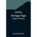 Chunky, the Happy Hippo; His Many Adventures