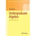 Undergraduate Algebra: A Unified Approach