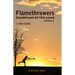 Flamethrowers - Guardians of the game: A lacrosse story