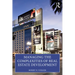 Managing the Complexities of Real Estate Development