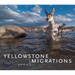 Yellowstone Migrations