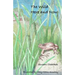 The Wild Here and Now