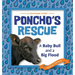 Poncho's Rescue: A Baby Bull and a Big Flood
