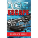Ice Escape