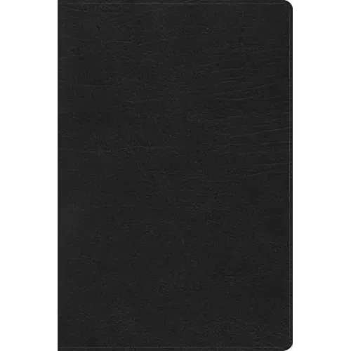 Rvr 1960 Biblia de Estudio Arcoiris, Negro Símil Piel Con Índice
