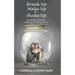 Break Up, Make Up or Shake Up: Redefining Relationships in Retirement, Isolation & Crisis