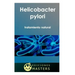 Helicobacter Pylori: Tratamiento Natural