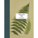 Vintage Prints: Ferns: Vol. 9